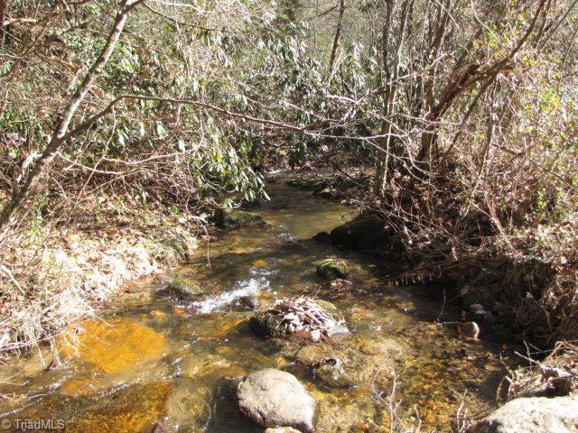 Off Off Shell Creek Road Ferguson, NC 28624 - Photo 4 of 22