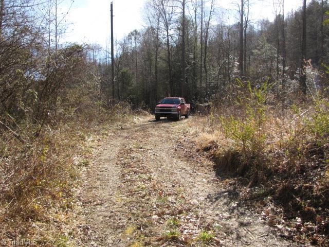 Off Off Shell Creek Road Ferguson, NC 28624 - Photo 5 of 22