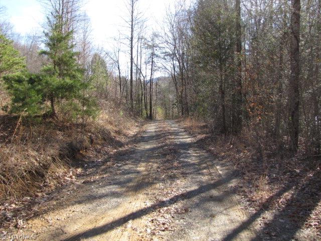 Off Off Shell Creek Road Ferguson, NC 28624 - Photo 6 of 22