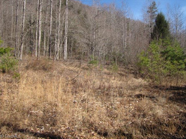 Off Off Shell Creek Road Ferguson, NC 28624 - Photo 7 of 22