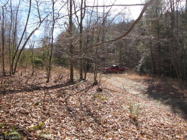 Off Off Shell Creek Road Ferguson, NC 28624 - Photo 8 of 22