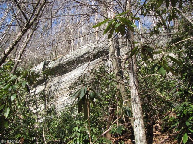 Off Off Shell Creek Road Ferguson, NC 28624 - Photo 10 of 22