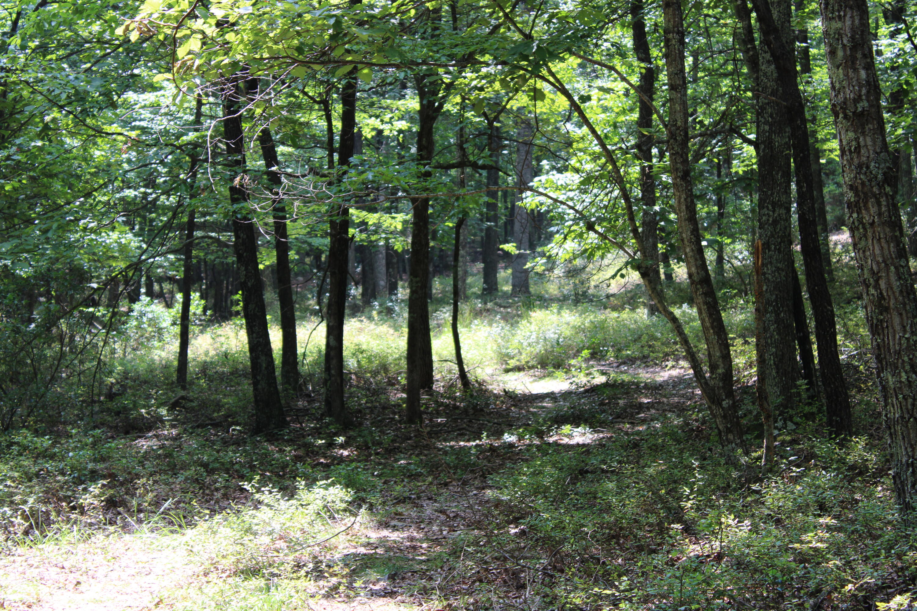 2816 Johns Creek Road New Castle, VA 24127 - Photo 46 of 96 IMG_0048