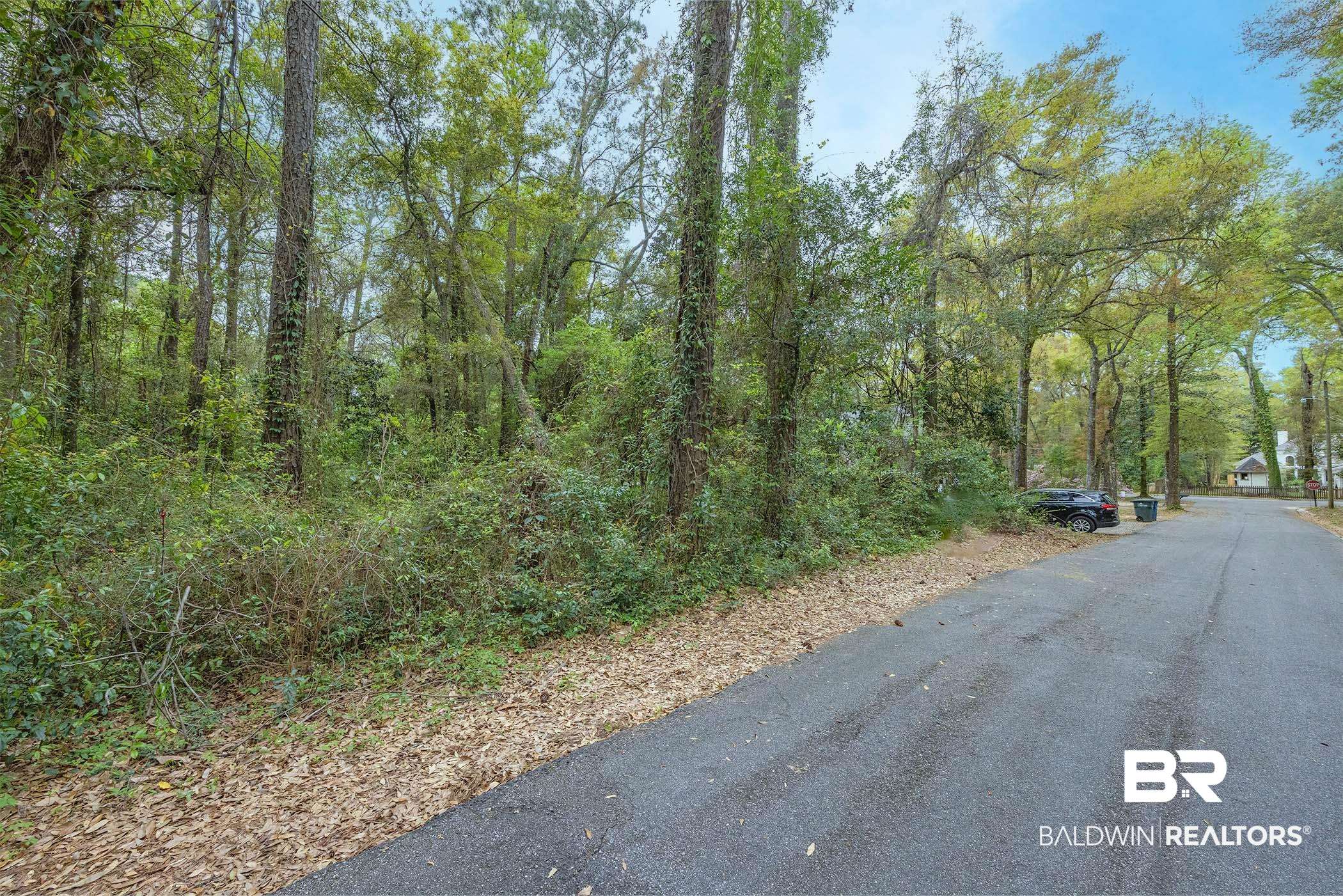 0 Wharf Street Daphne, AL 36526 - Photo 18 of 21