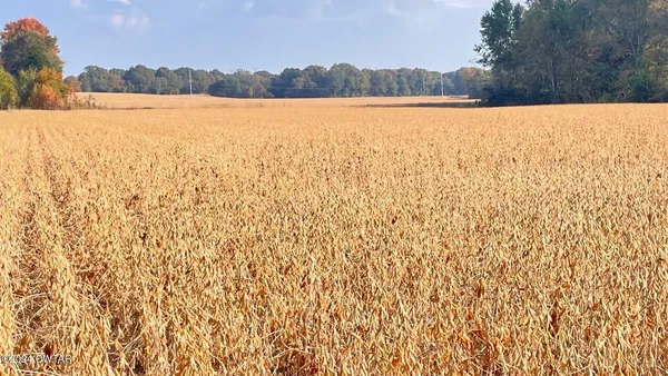 $620,000 | 0 Trenton Highway, Milan, TN 38358