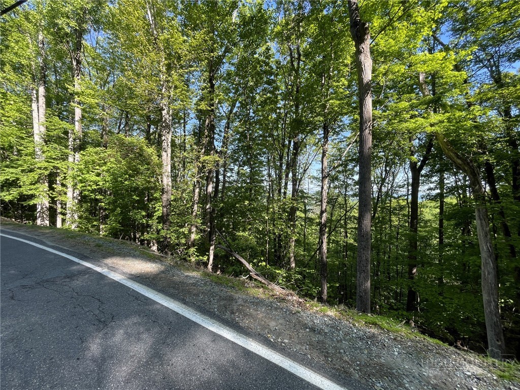 926 Pine Ridge Road Beech Mountain, NC 28604 - Photo 9 of 12