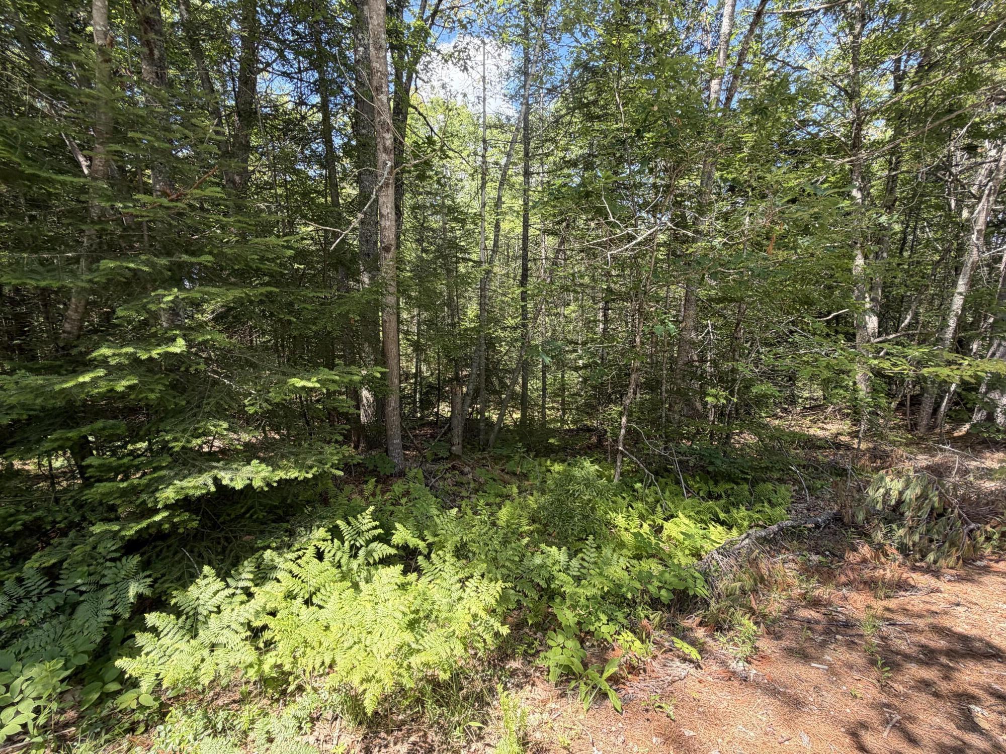 Lot R05129 Polly Clark Brook Wiscasset, ME 04578 - Photo 3 of 9 Lot R05129 Polly Clark Brook, Wiscasset