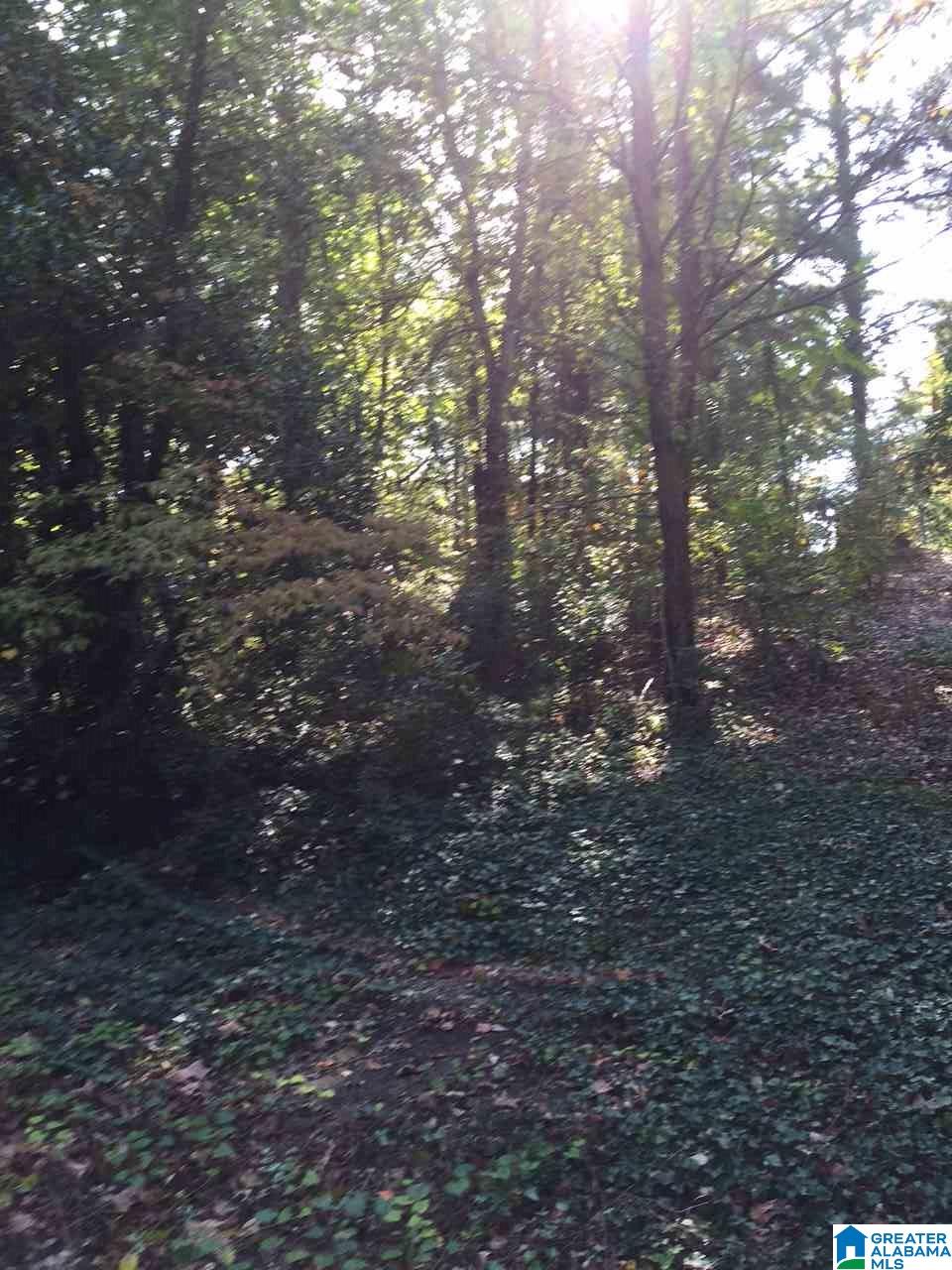 4196 South Shades Crest Road, Unit 1 Birmingham, AL 35244 - Photo 4 of 4
