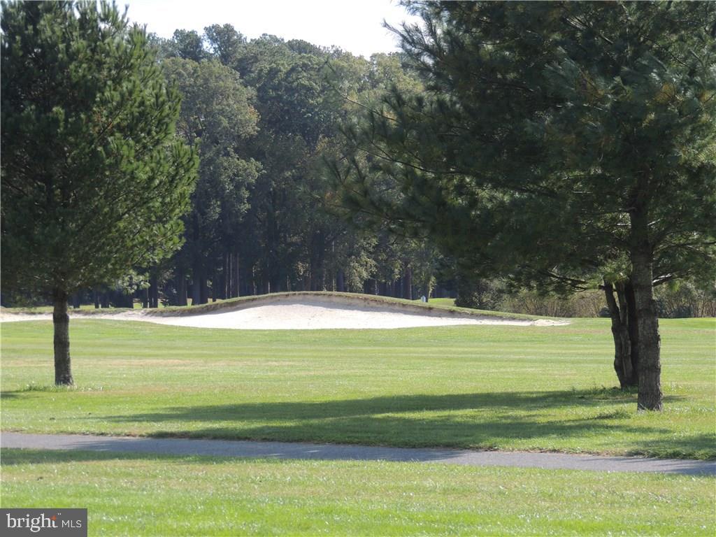 16 Putter Lane Georgetown, DE 19947 - Photo 3 of 8 Gallery Image 3