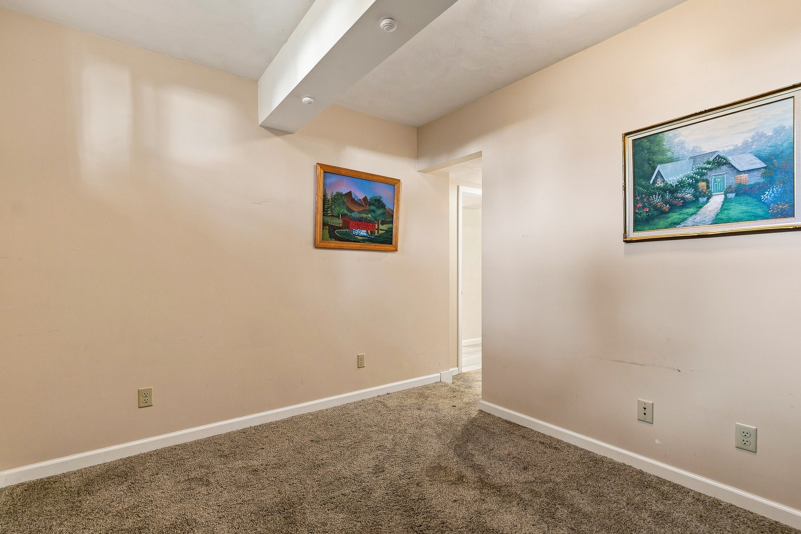 1009 Main Street Erie, IL 61250 - Photo 32 of 44 Gallery Image 32