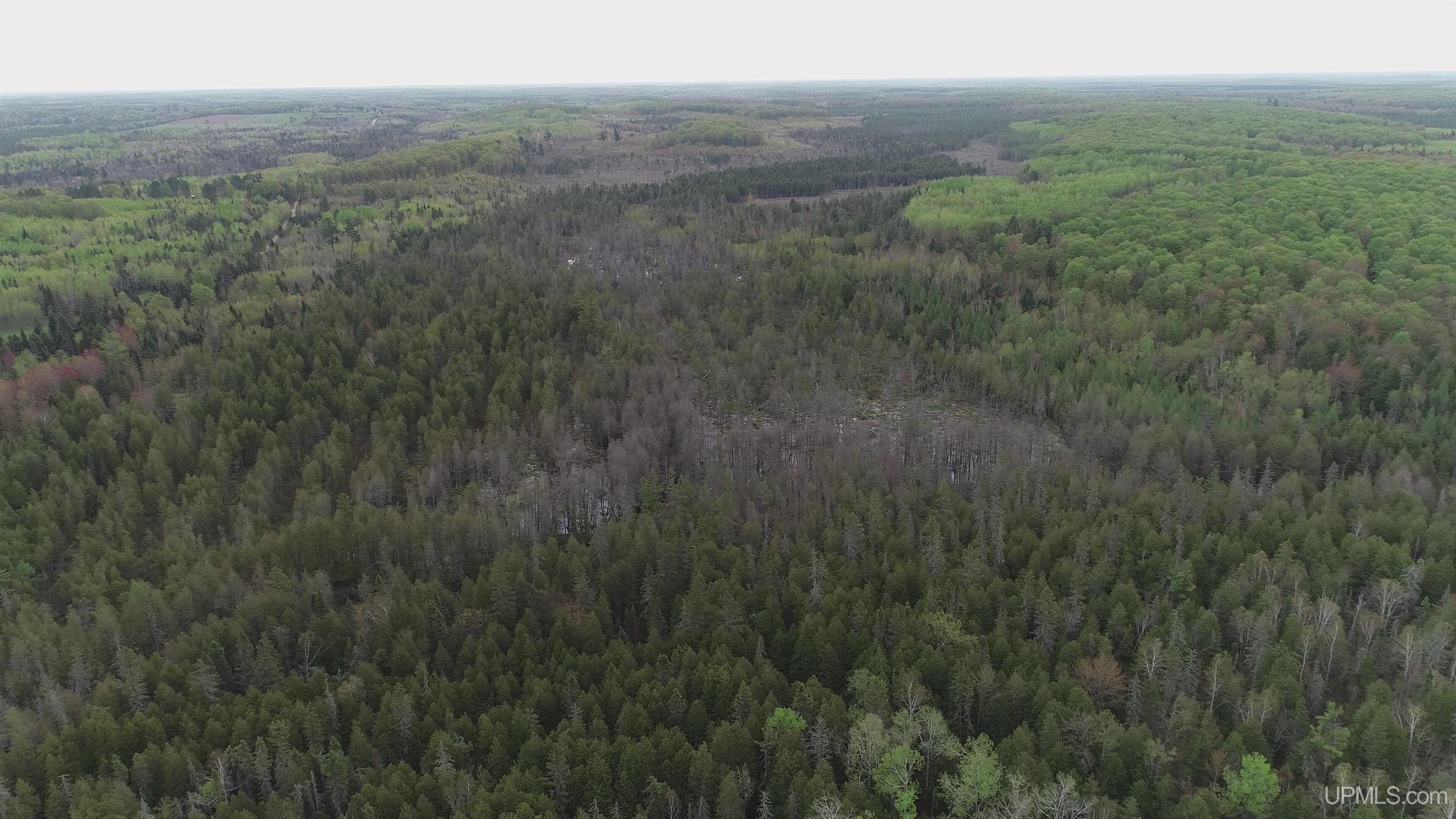 9 Rd Foster City Mi 49834 Road Felch, MI 49831 - Photo 22 of 32