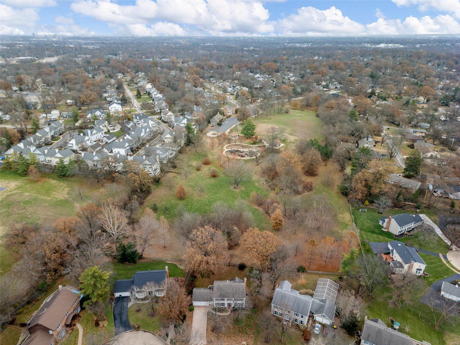 406 Webster Forest Drive Webster Groves, MO 63119 - Photo 2 of 43