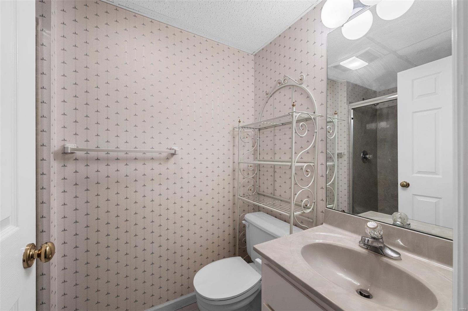 406 Webster Forest Drive Webster Groves, MO 63119 - Photo 31 of 43