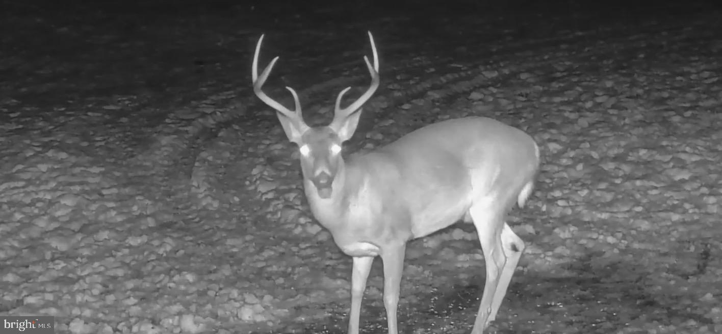 3035 Stillhouse Hollow Road Shippensburg, PA 17257 - Photo 128 of 129