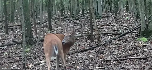 $1,595,000 | 3035 Stillhouse Hollow Road, Shippensburg, PA 17257