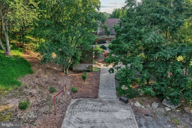 a view of a backyard with trees
