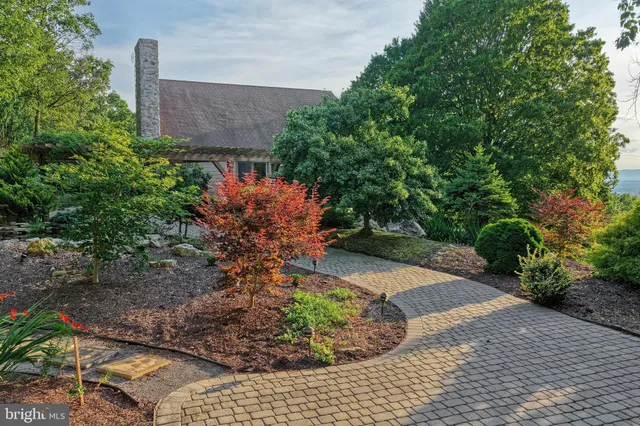 a view of a garden with plants