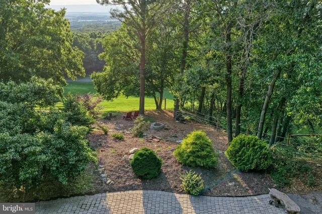 an aerial view of residential houses with outdoor space and trees