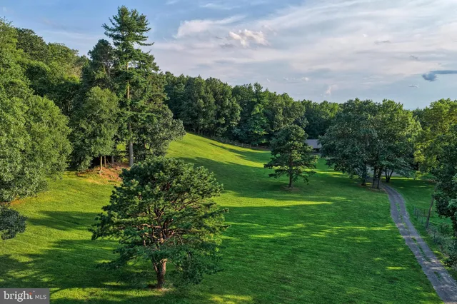 a view of a pathway of a park with large trees