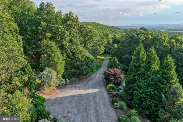 a view of green field with trees in the background