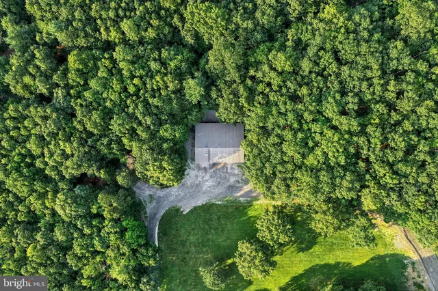 a backyard of a house with large trees and barbeque oven