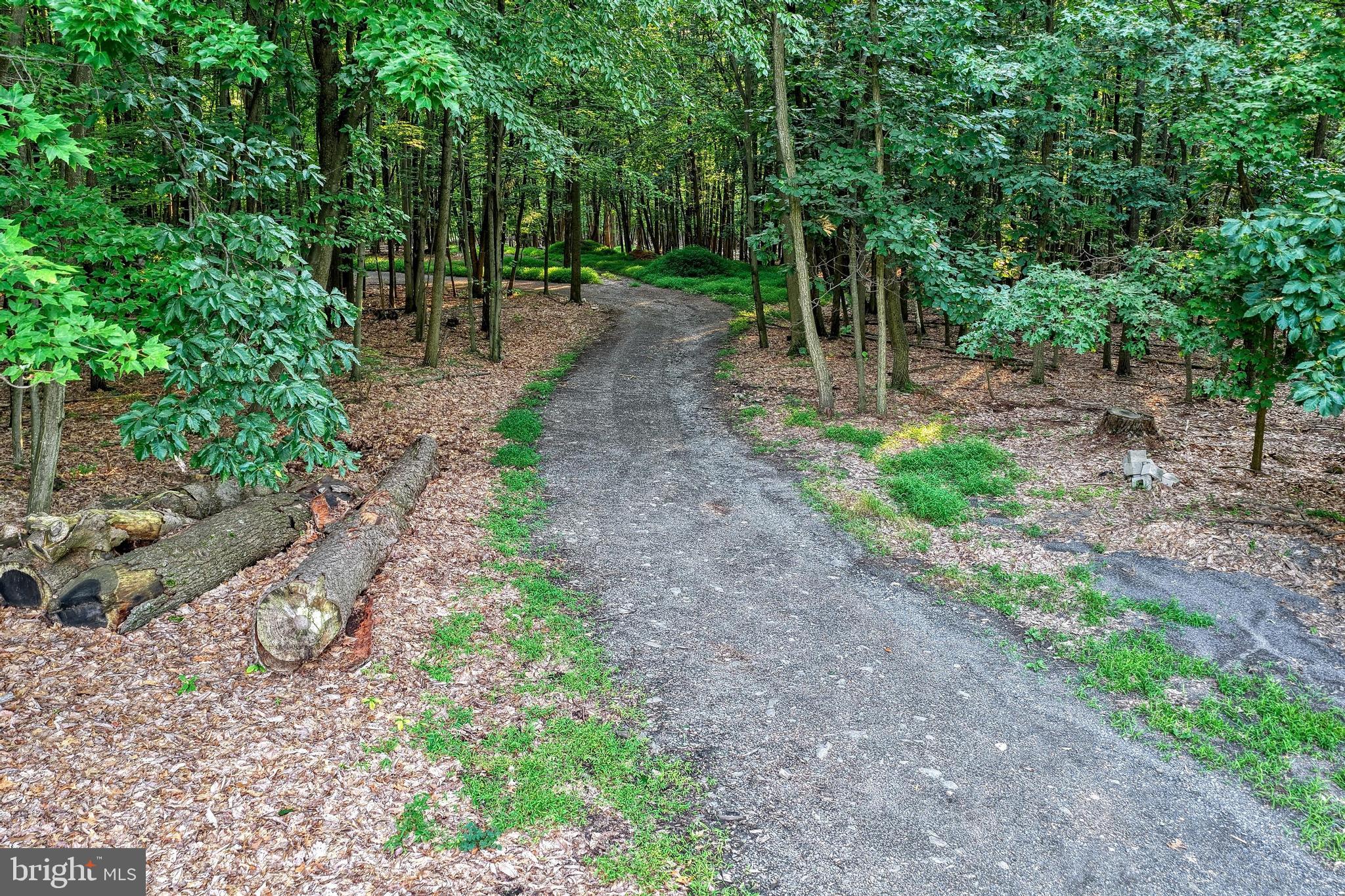 3035 Stillhouse Hollow Road Shippensburg, PA 17257 - Photo 45 of 129 a view of a backyard with trees