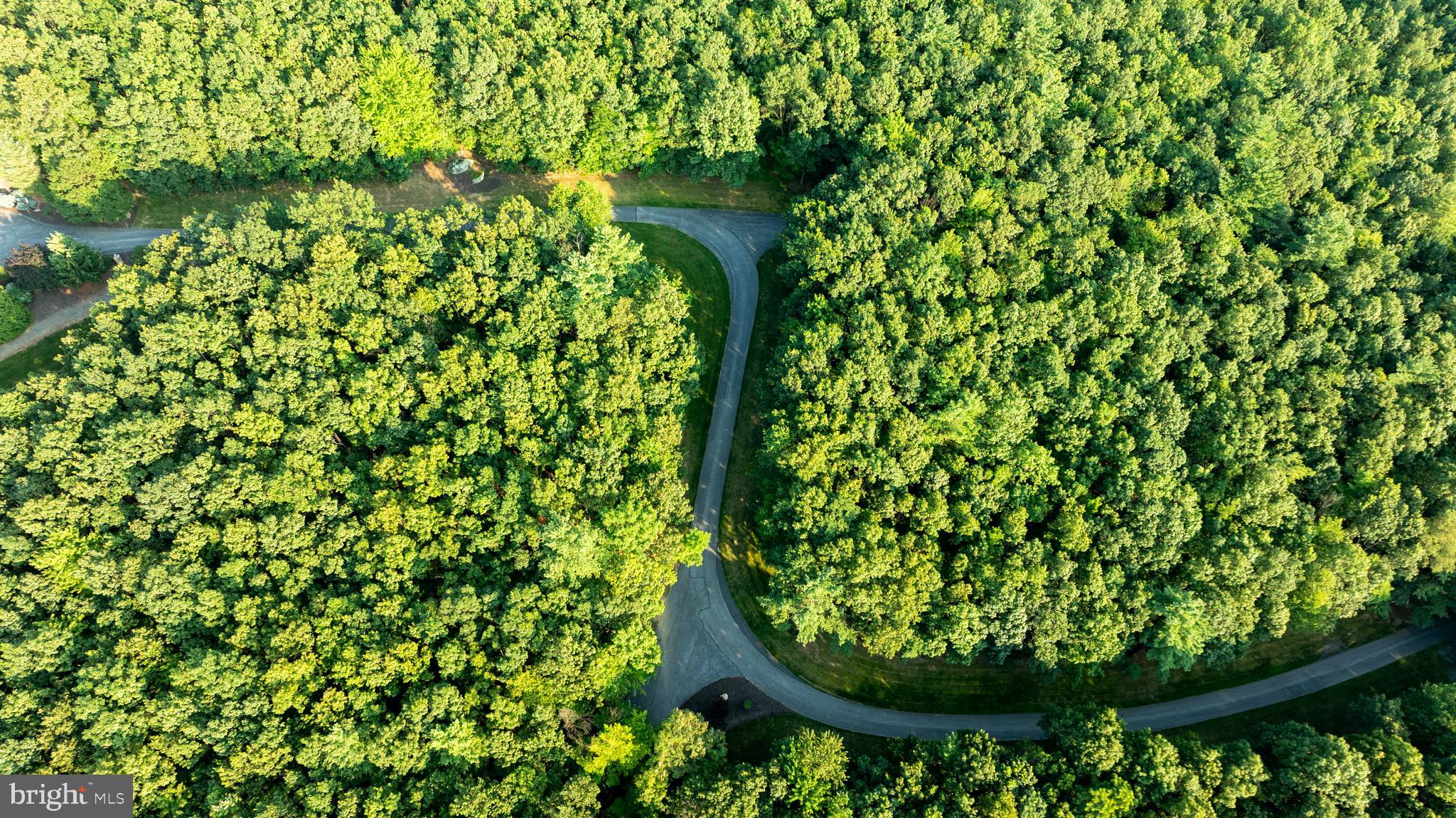3035 Stillhouse Hollow Road Shippensburg, PA 17257 - Photo 52 of 129 a close up of a plant in a garden