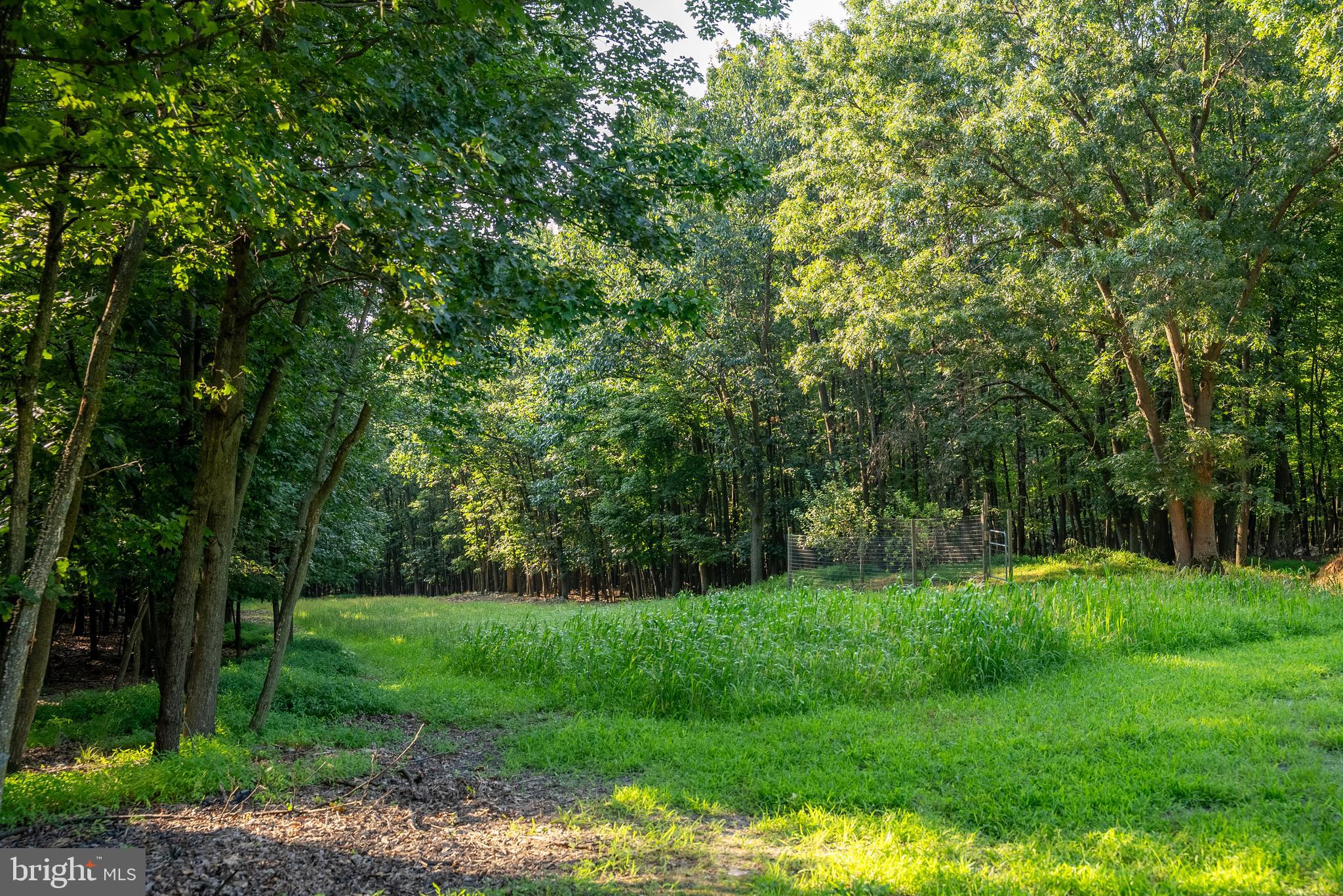 3035 Stillhouse Hollow Road Shippensburg, PA 17257 - Photo 58 of 129 a view of green field with trees in the background