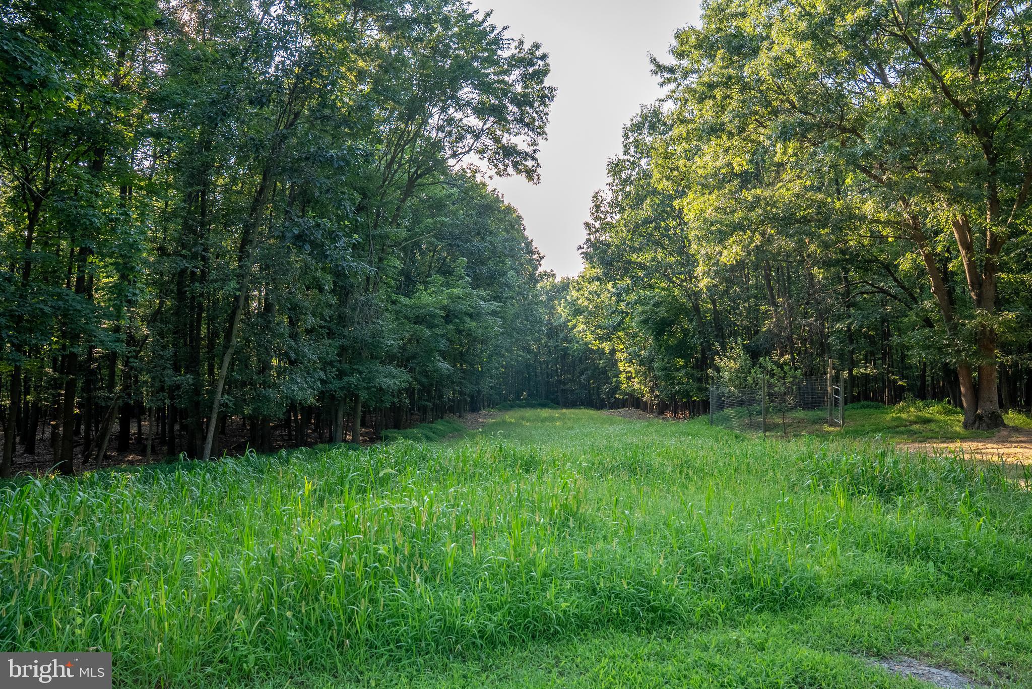 3035 Stillhouse Hollow Road Shippensburg, PA 17257 - Photo 61 of 129 a view of an outdoor space and a yard