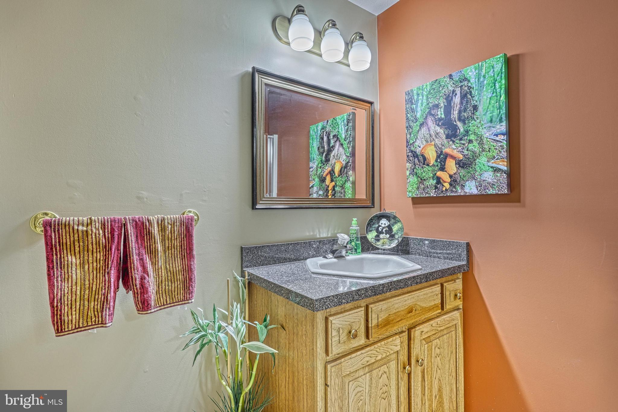 3035 Stillhouse Hollow Road Shippensburg, PA 17257 - Photo 99 of 129