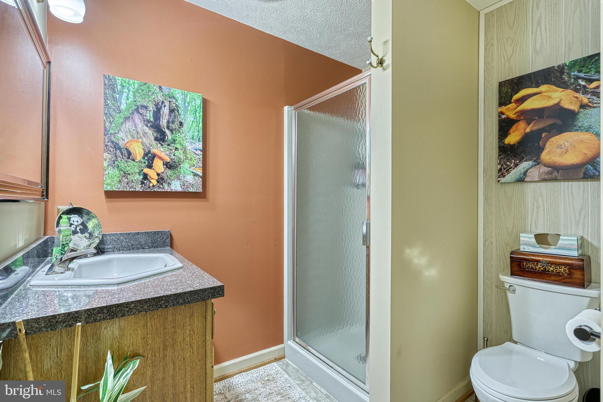 3035 Stillhouse Hollow Road Shippensburg, PA 17257 - Photo 100 of 129 a bathroom with a sink a toilet and vanity