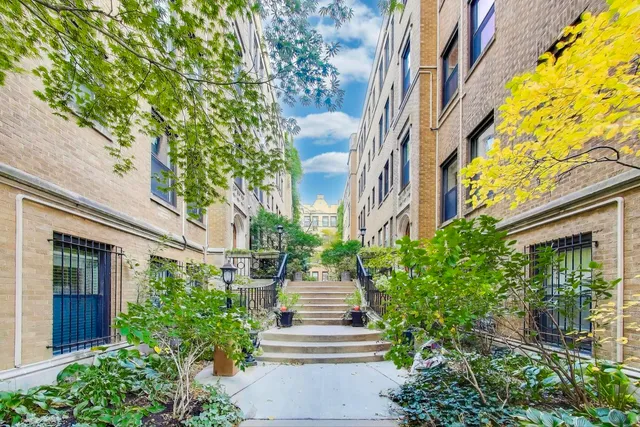 a view of a pathway of a house with plants and large trees