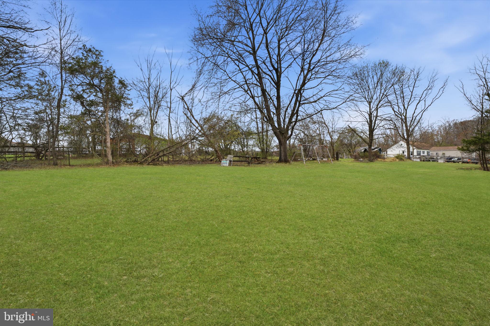 34 Aqueduct Road Washington Crossing, PA 18977 - Photo 18 of 38 a view of a field with trees