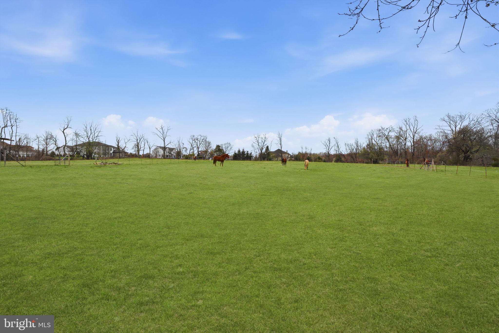 34 Aqueduct Road Washington Crossing, PA 18977 - Photo 19 of 38 a view of a grassy field
