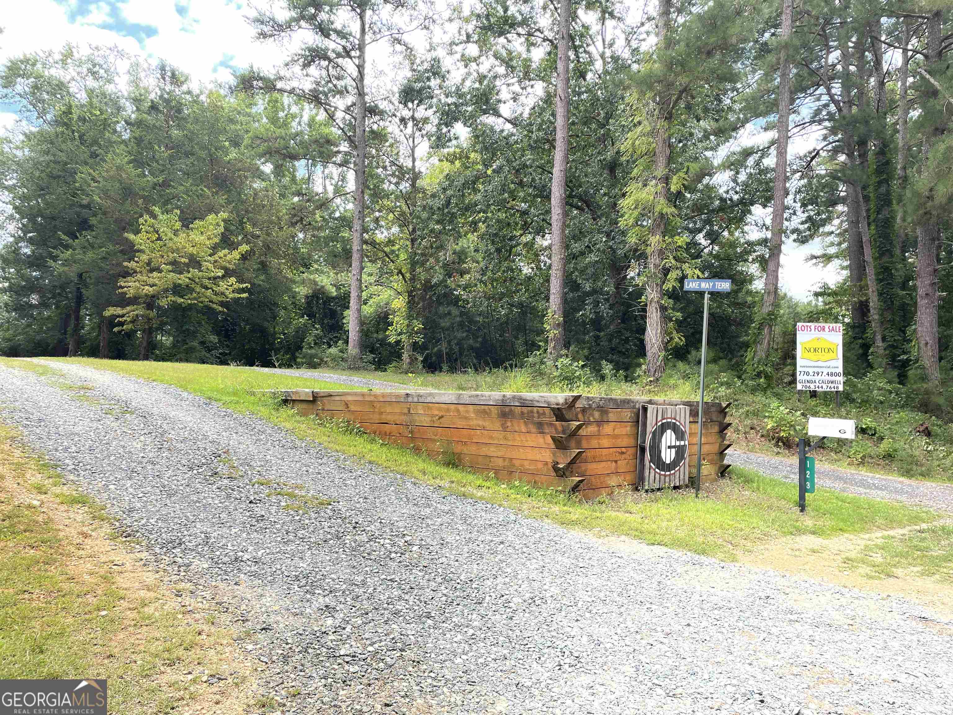 120 Bruce Road, Unit LOT 6 Martin, GA 30557 - Photo 12 of 13