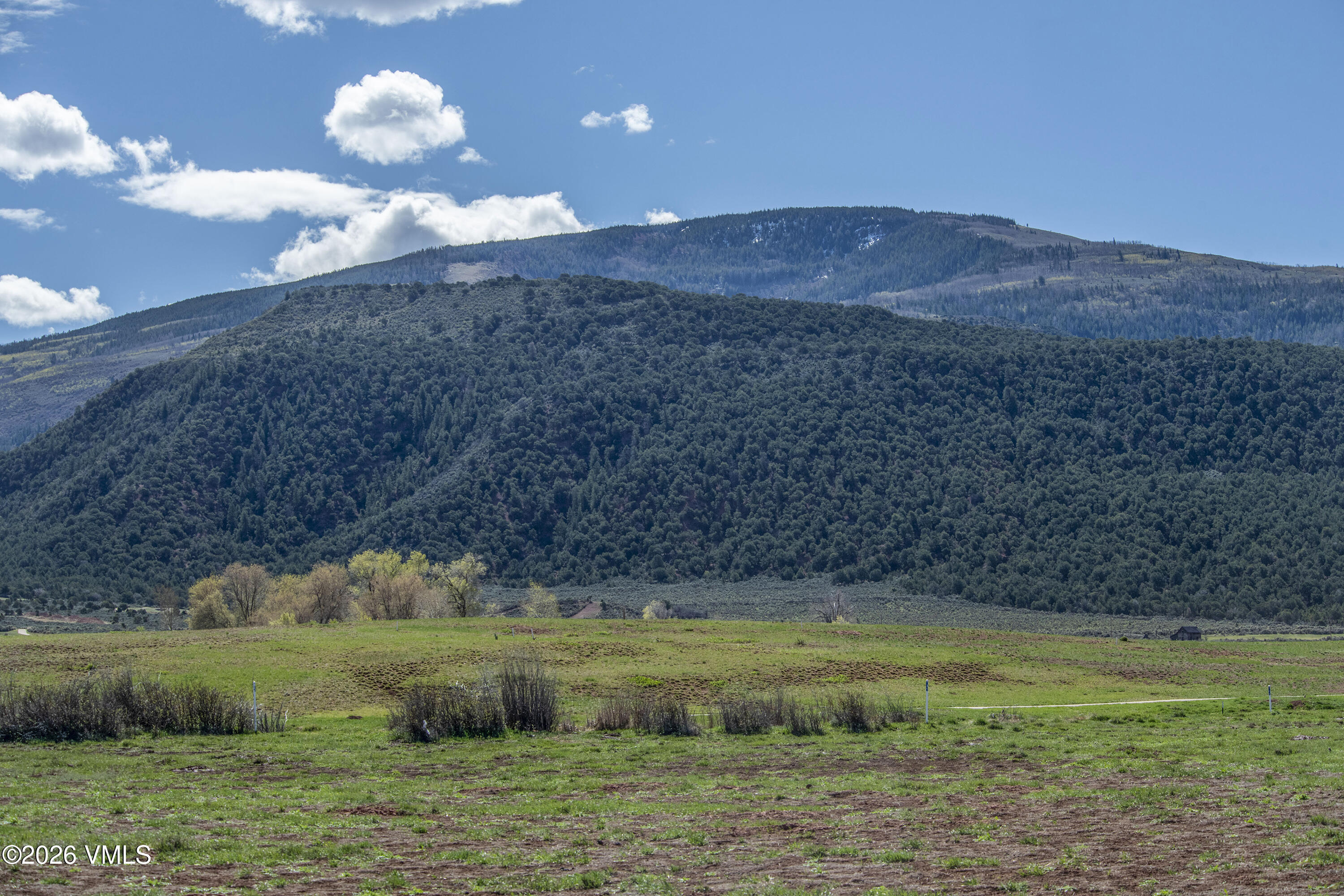 39 Foxprowl Gypsum, CO 81637 - Photo 11 of 23 39-Fox-Prowl-MLS_02