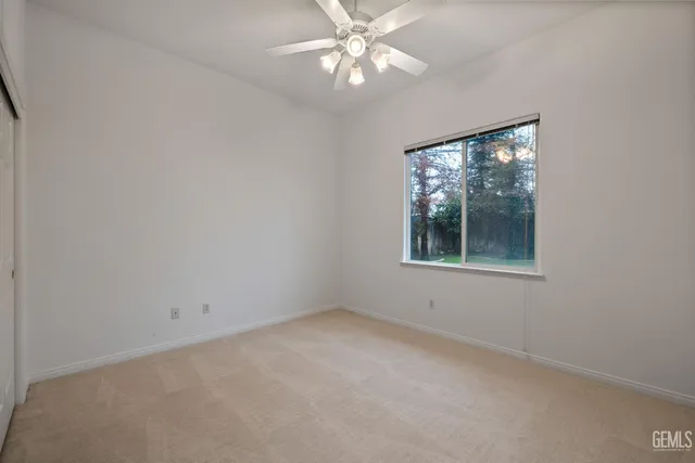 a view of a park with large trees