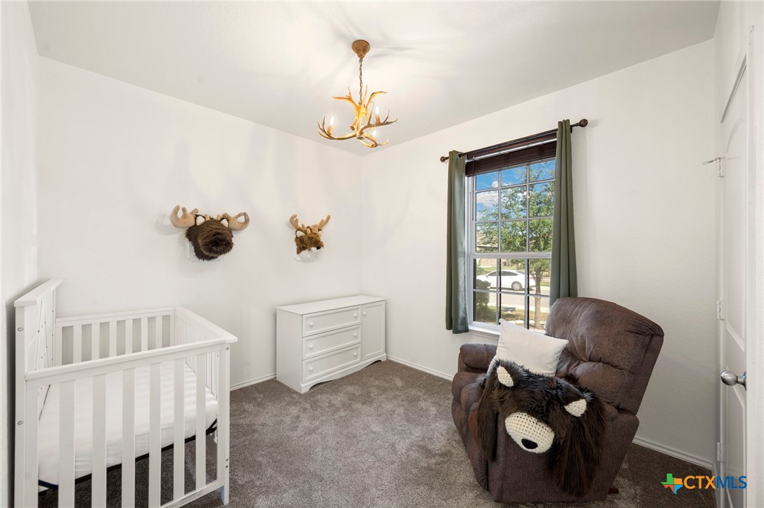 2838 Ridge Berry Road New Braunfels, TX 78130 - Photo 13 of 26