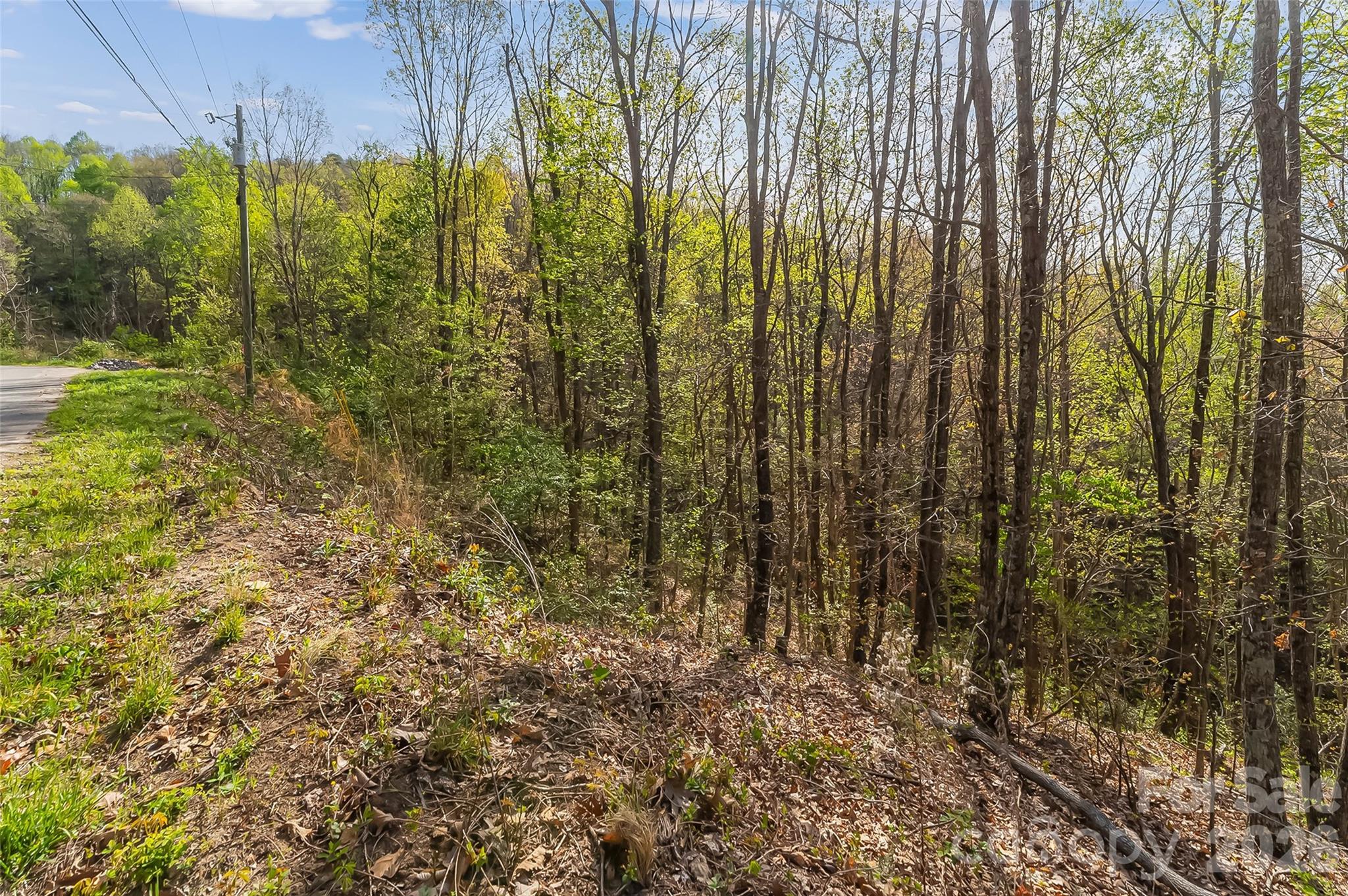 0 High Peak Mountain Road Valdese, NC 28690 - Photo 11 of 15