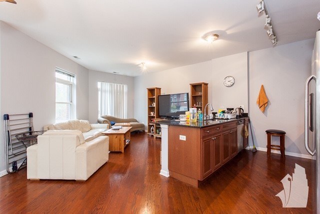 1407 South Halsted Street, Unit 2B Chicago, IL 60607 - Photo 4 of 16 a living room with stainless steel appliances granite countertop furniture wooden floor and a window