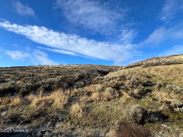 a view of a sky from a yard
