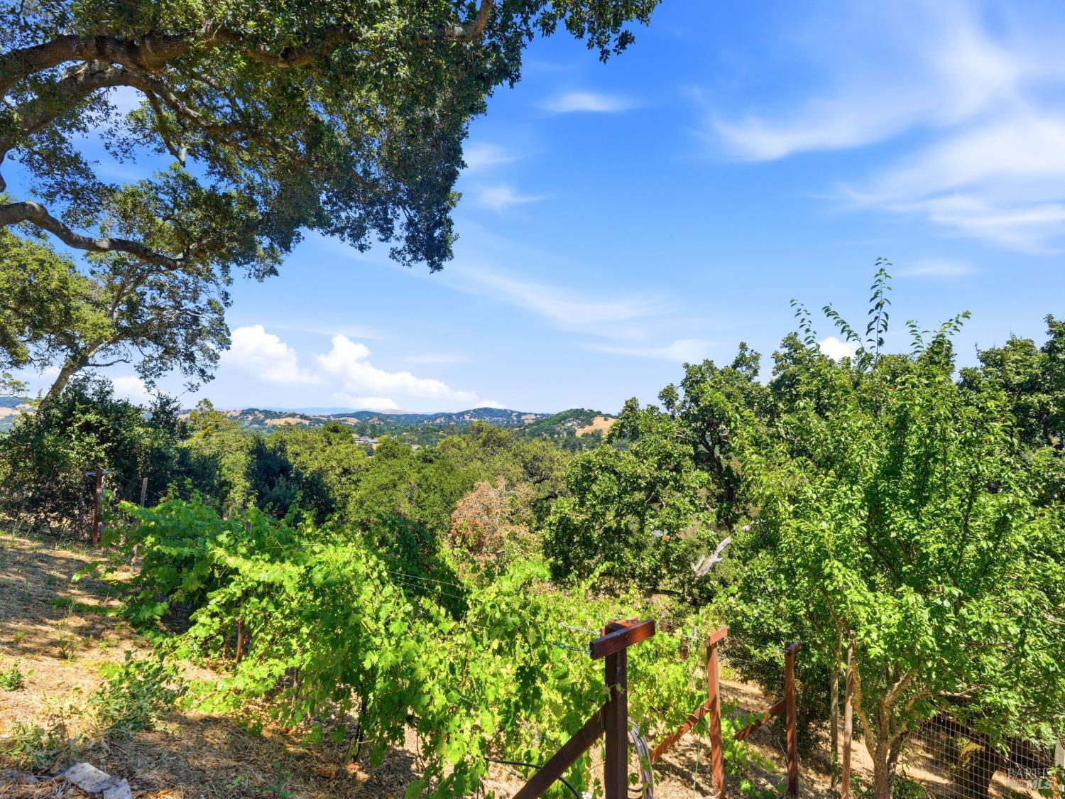 31 Roca Court Novato, CA 94947 - Photo 36 of 55