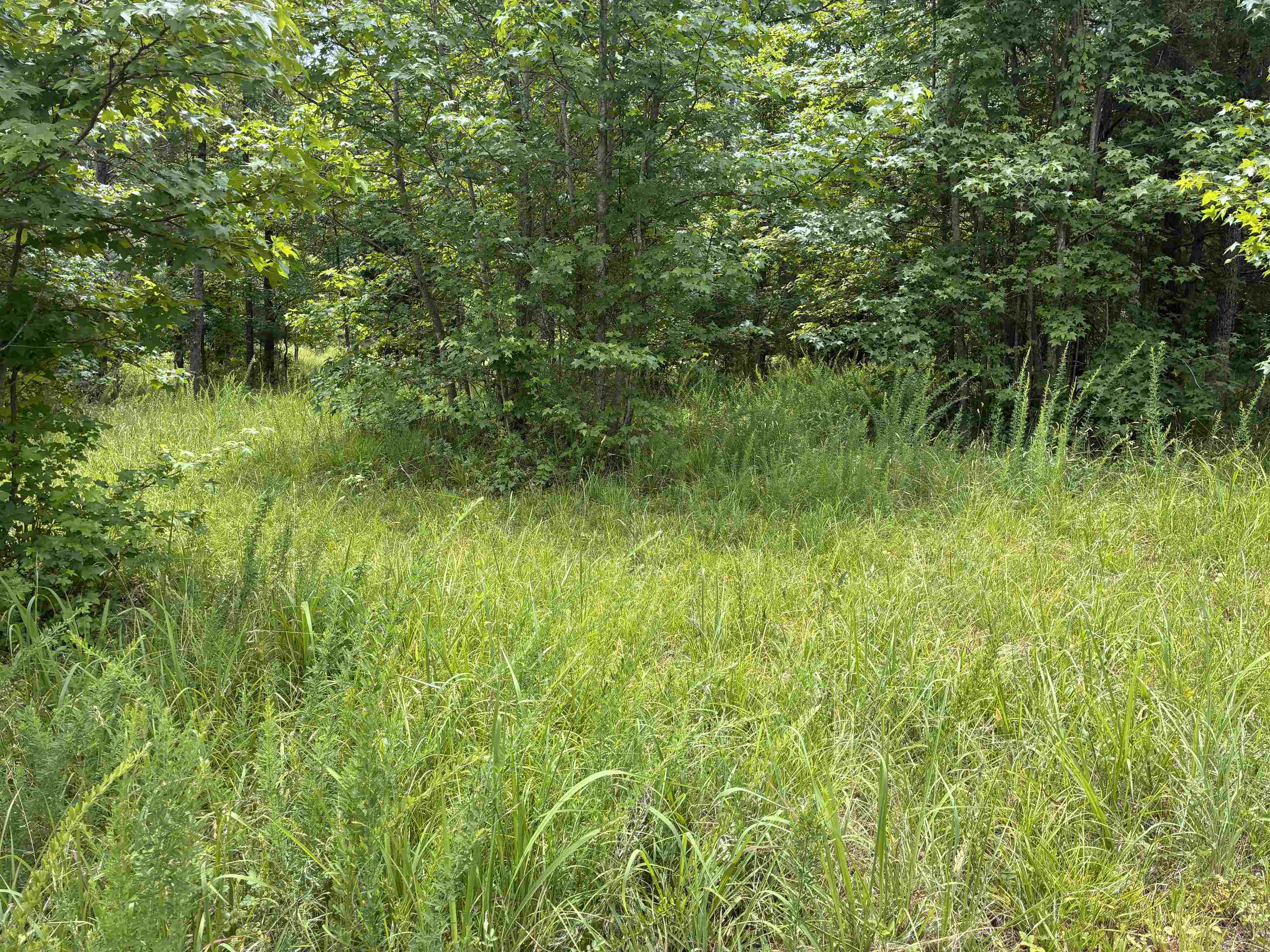 Lot 1 State Rd S-11-54 Gaffney, SC 29340 - Photo 4 of 19