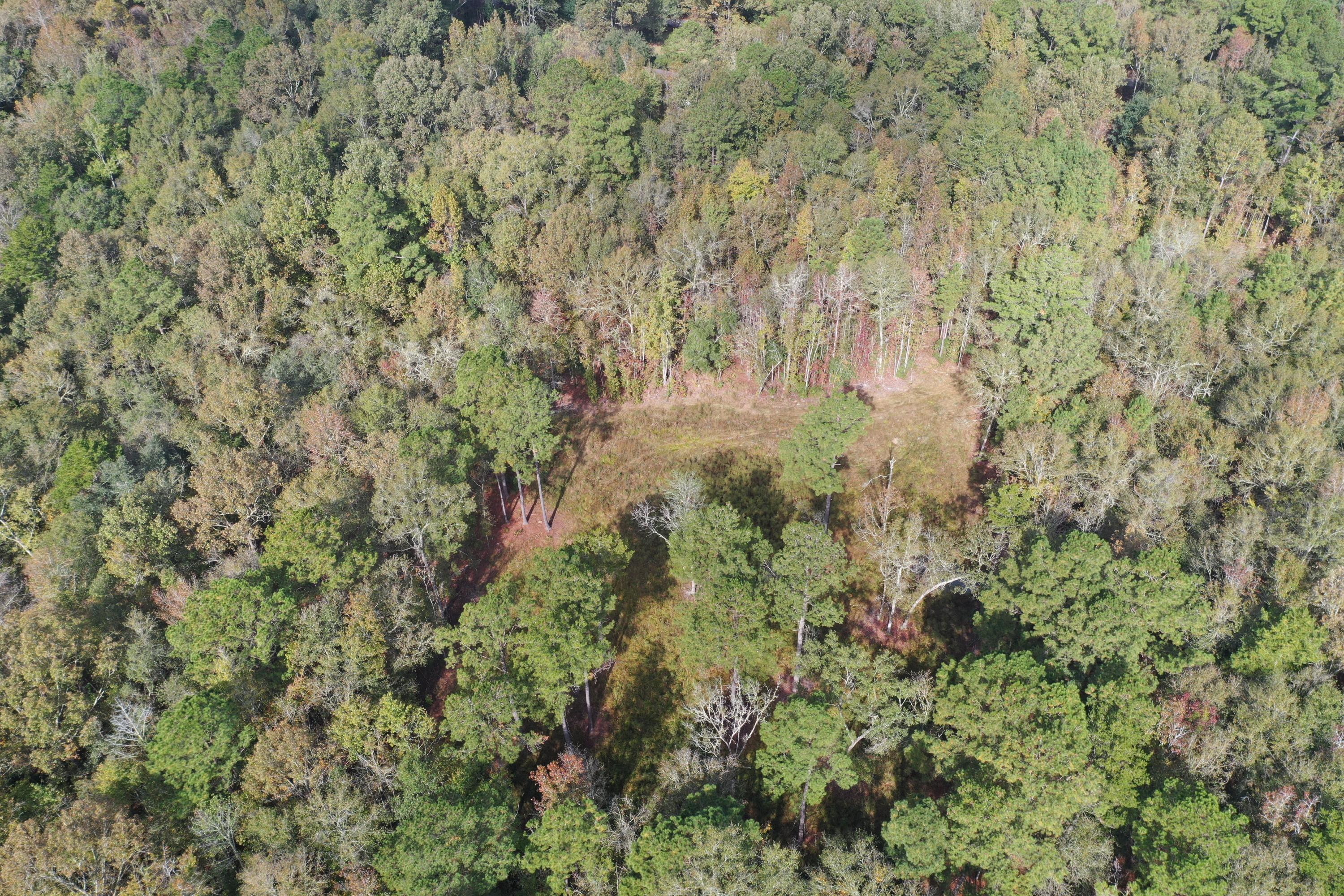 888 Bama Road Cottageville, SC 29435 - Photo 14 of 23 DJI_0701