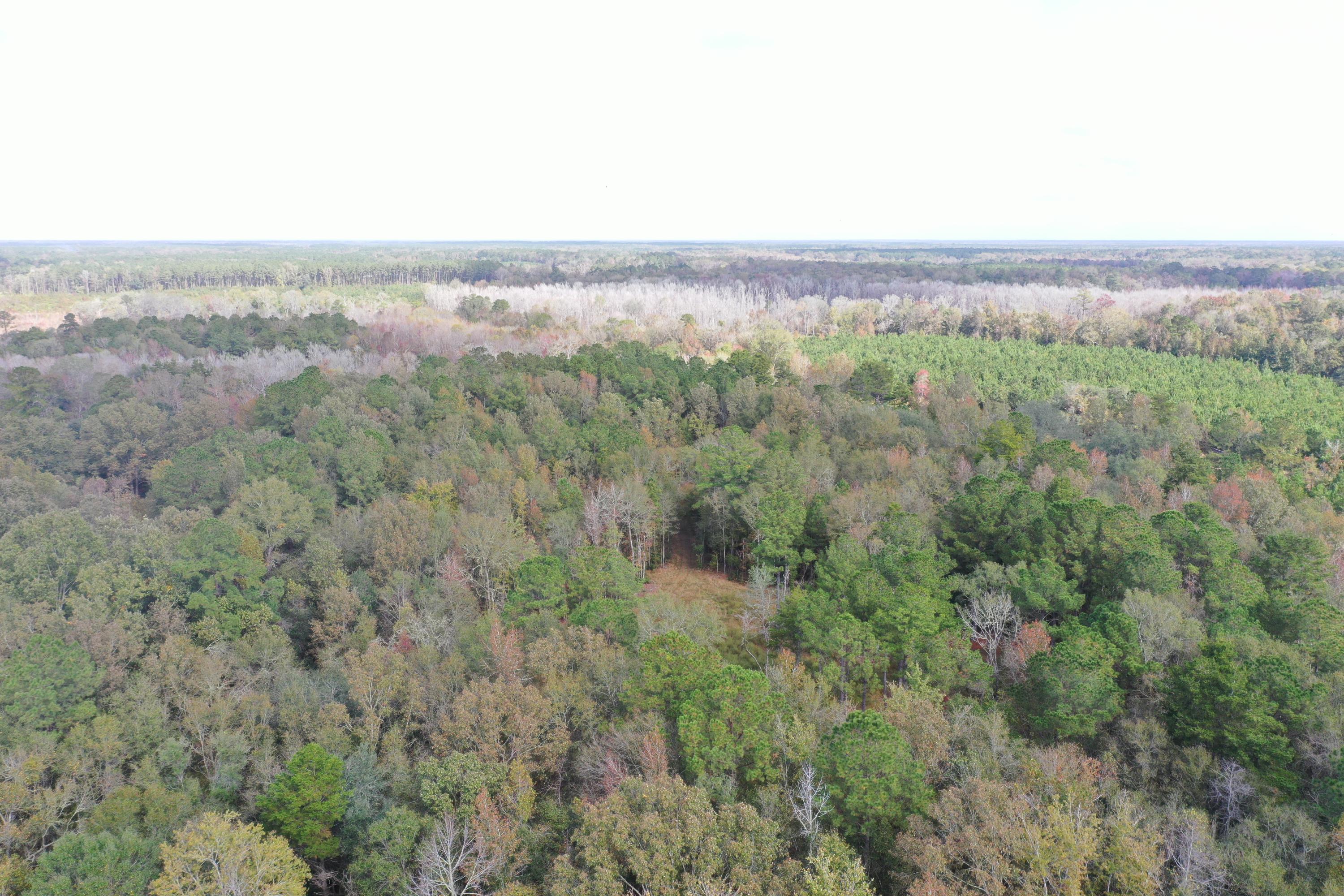 888 Bama Road Cottageville, SC 29435 - Photo 22 of 23 DJI_0719