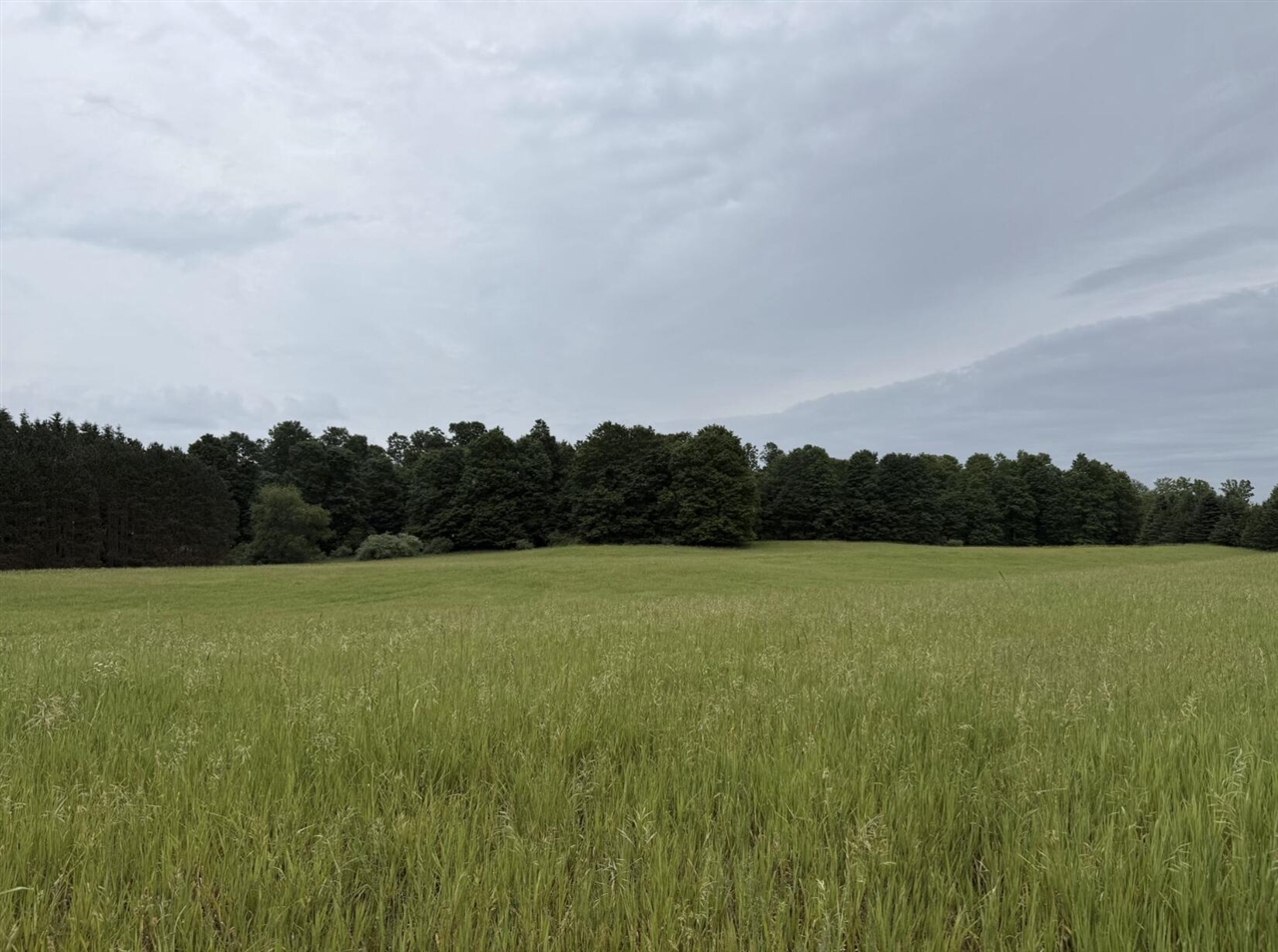 Eight Mile Road Kaleva, MI 49645 - Photo 13 of 14