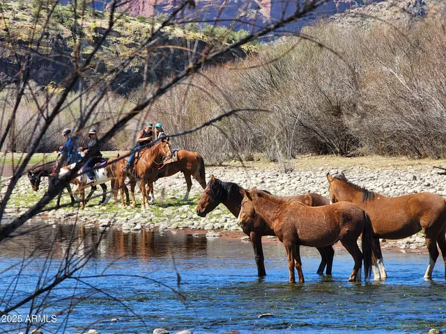 $1,950 | 5729 East Hermosa Vista Drive, Mesa, AZ 85215
