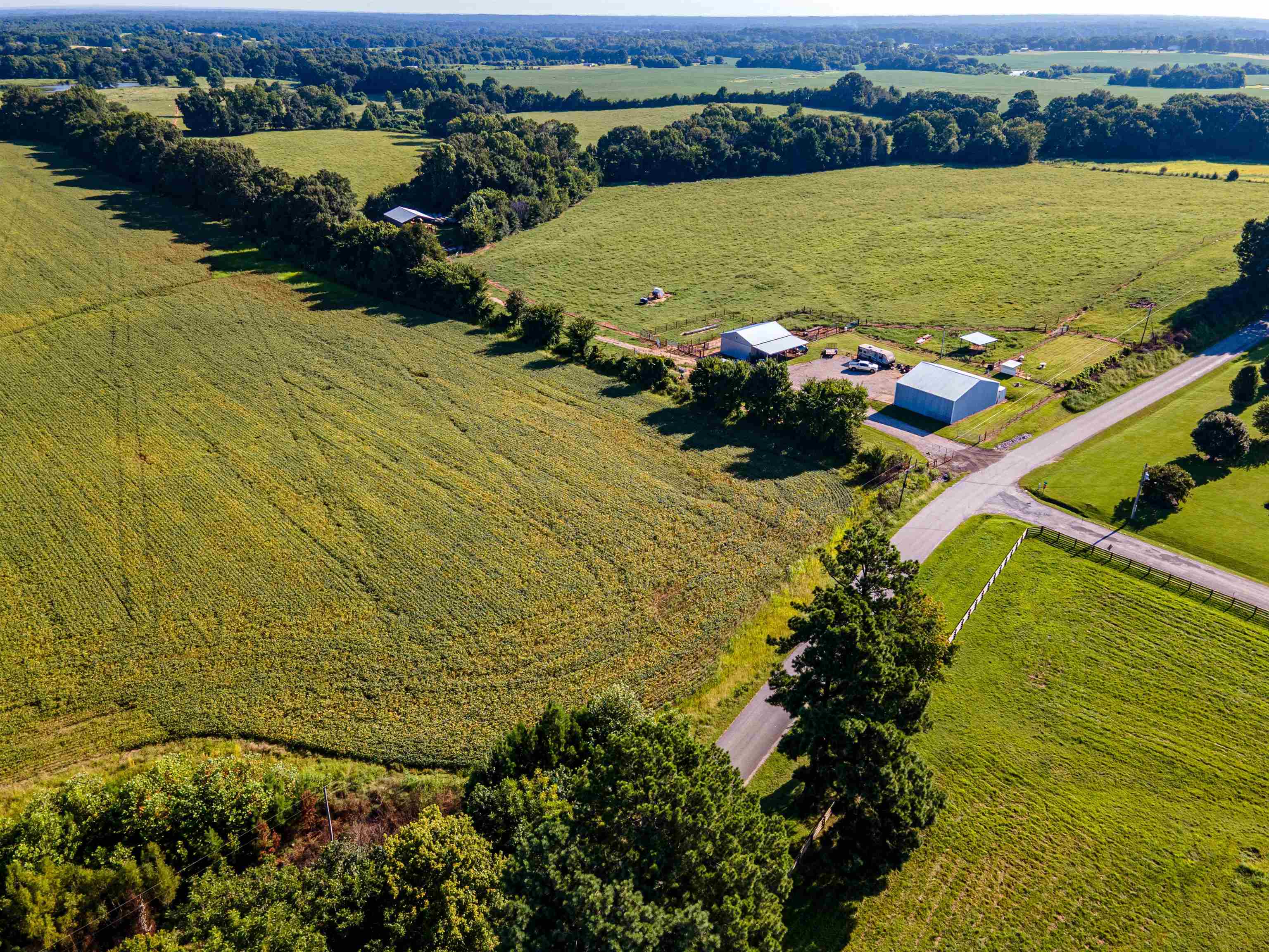 Mt Moriah Road Somerville, TN 38068 - Photo 10 of 19 Gallery Image 10