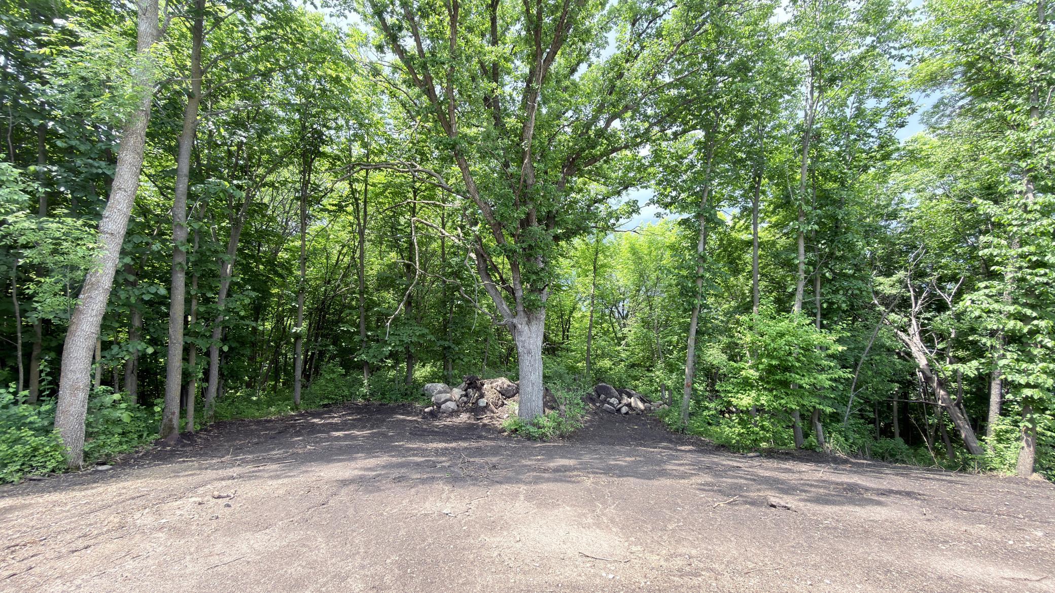 Lot 11 West Stalker Road Dalton, MN 56324 - Photo 4 of 27
