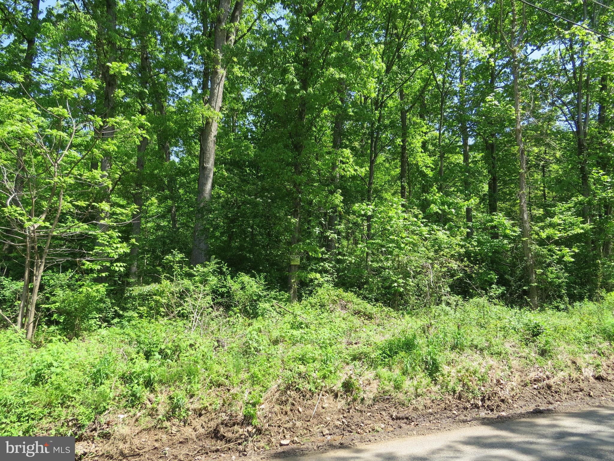 Lot 1 Company Farm Road York Springs, PA 17372 - Photo 1 of 8 Gallery Image 1